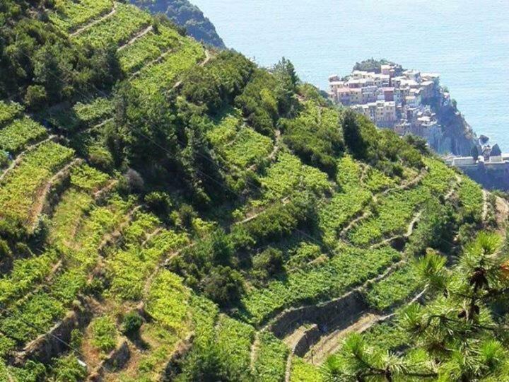 Holiday home Liguria